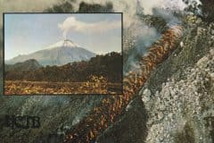 エクアドルIMG_20200111_0001-scaled