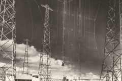 オランダ‗マダガスカルIMG_20200111_0002-scaled