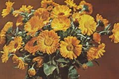 radio_sofia_bulgaria_IMG_20200111_0012-scaled