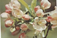 radio_sofia_bulgaria_IMG_20200111_0013-scaled